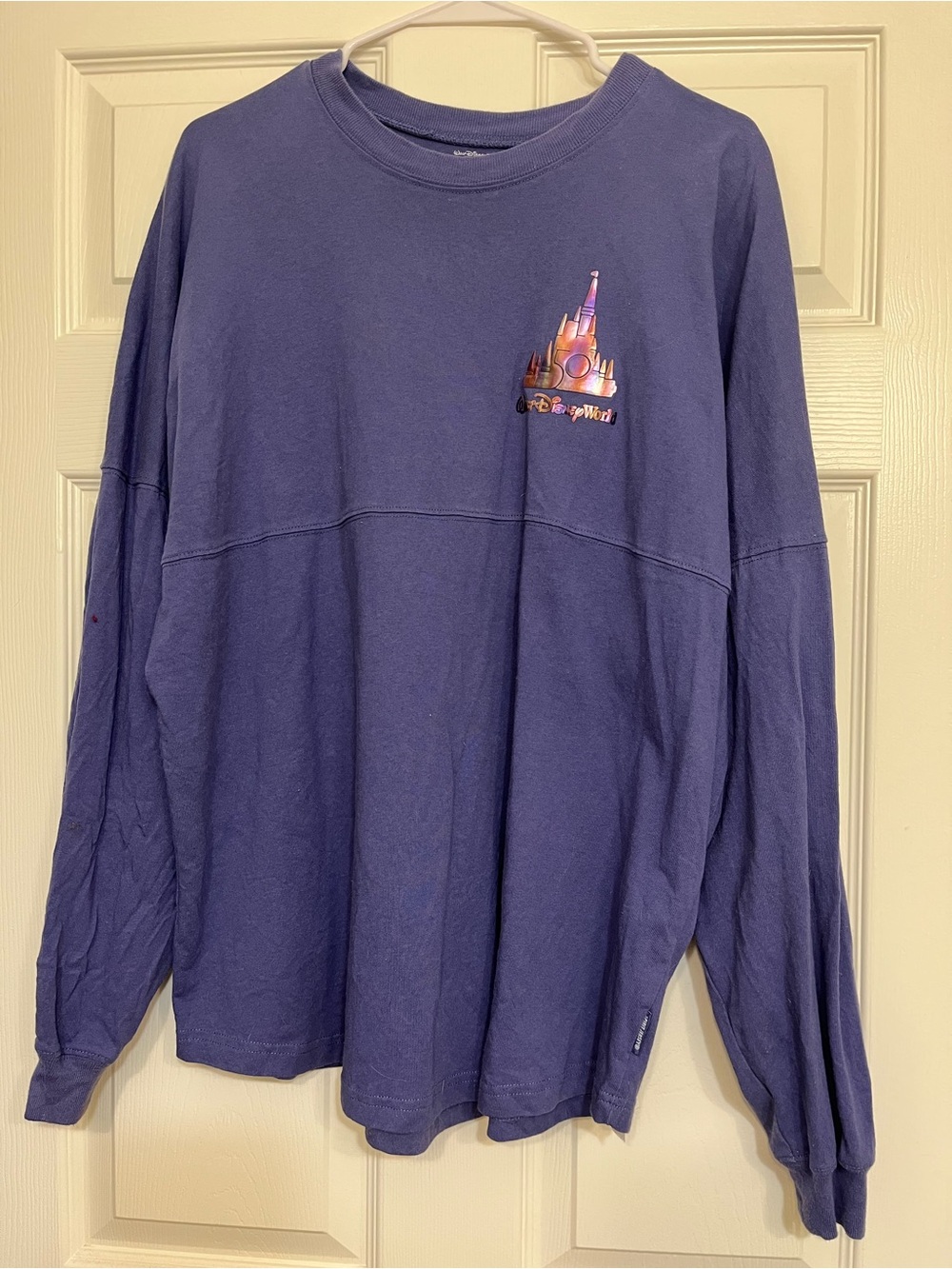 Disney Spirit Jersey